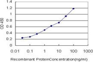 ELISA image for anti-N-Methylpurine-DNA Glycosylase (MPG) (AA 1-90) antibody (ABIN598818) (MPG Antikörper  (AA 1-90))