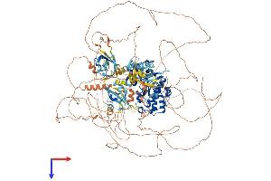 AlphaFold protein structure predicition of Human Recombinant PASK Protein, UniprotID Q96RG2 (PASK Protein (AA 1-1323) (His tag))