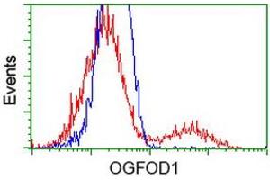 HEK293T cells transfected with either RC206839 overexpress plasmid (Red) or empty vector control plasmid (Blue) were immunostained by anti-OGFOD1 antibody (ABIN2454192), and then analyzed by flow cytometry. (OGFOD1 Antikörper)