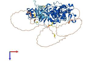 NSUN2 Protein (AA 1-767) (His tag)