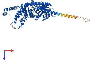 SEPSECS Protein (AA 1-504) (His tag)