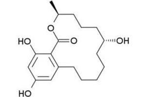 Antigen structure: Zeranol (ZEN) (Zeranol Antikörper)