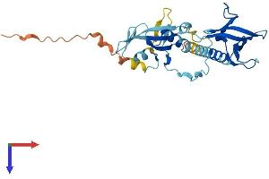 DAPP1 Protein (AA 1-280) (His tag)
