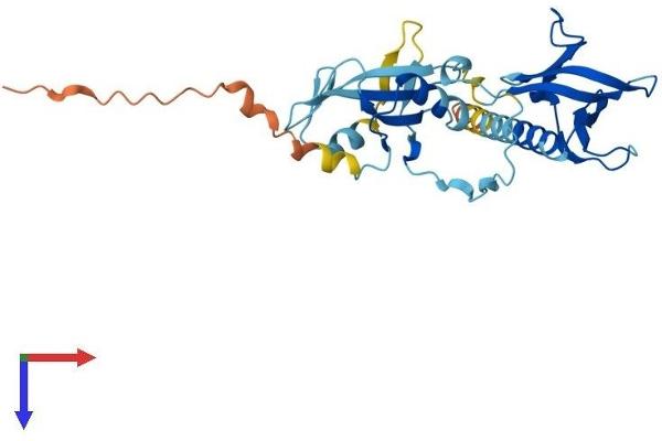 DAPP1 Protein (AA 1-280) (His tag)