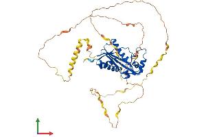 Protein Structure (PS) image for Proline-Rich Coiled-Coil 1 (PRRC1) (AA 1-443) protein (His tag) (ABIN7557251)