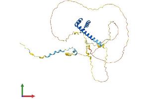 Protein Structure (PS) image for H6 Family Homeobox 3 (HMX3) (AA 1-356) protein (His tag) (ABIN7563246)
