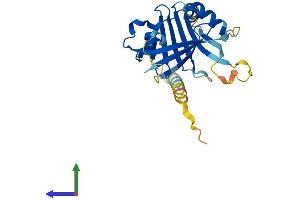 Protein Structure (PS) image for Integral Membrane Protein 2A (ITM2A) (AA 1-263) protein (His tag) (ABIN7548591)