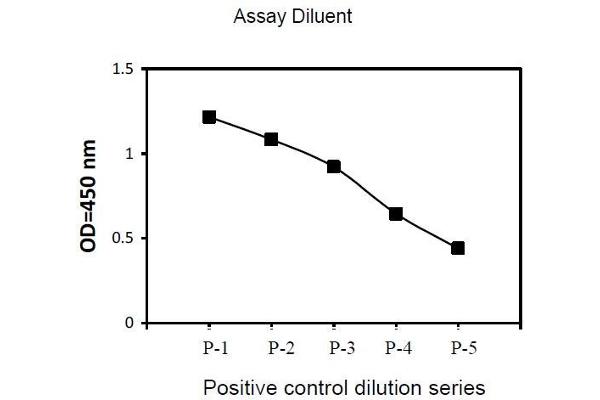 PTK2B ELISA Kit