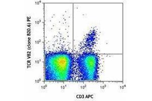 Flow Cytometry (FACS) image for anti-TCR V beta 2 antibody (PE) (ABIN2663915) (TCR V beta 2 Antikörper (PE))