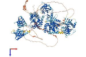 ARAP1 Protein (AA 1-1452) (His tag)