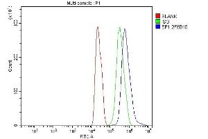 Flow Cytometry analysis of C6 cells using anti-splicing factor 1 antibody (ABIN7600193).