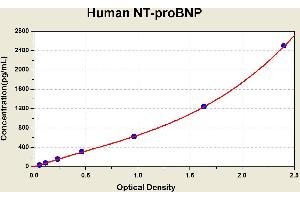 Diagramm of the ELISA kit to detect Human NT-proBNPwith the optical density on the x-axis and the concentration on the y-axis.