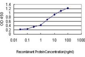 Image no. 1 for anti-Regulator of G-Protein Signaling 2 (RGS2) (AA 111-211) antibody (ABIN465968) (RGS2 Antikörper  (AA 111-211))