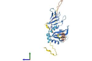 Protein Structure (PS) image for tRNA Selenocysteine 1 Associated Protein 1 (TRNAU1AP) (AA 1-287) protein (His tag) (ABIN7544750)