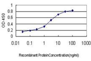 Detection limit for recombinant GST tagged PCDHGA1 is approximately 0. (PCDHGA1 Antikörper  (AA 241-340))