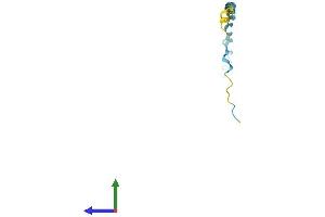 AlphaFold protein structure predicition of Mouse Recombinant Sprr2g Protein, UniprotID O70558