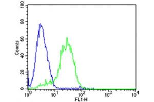 Flow cytometric analysis of HepG2 cells using DLK1 Antibody (C-term)(green, Cat(ABIN6243159 and ABIN6577727)) compared to an isotype control of mouse IgG2b(blue). (DLK1 Antikörper  (C-Term))