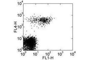 Image no. 1 for anti-Fc Fragment of IgE, Low Affinity II, Receptor For (CD23) (FCER2) antibody (FITC) (ABIN474793)