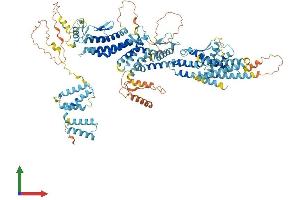 AlphaFold protein structure predicition of Mouse Recombinant Tubgcp5 Protein, UniprotID Q8BKN5 (TUBGCP5 Protein (AA 1-1024) (His tag))