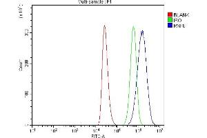 Flow Cytometry analysis of THP-1 cells using anti-RNF8 antibody (ABIN7602168). (RNF8 Antikörper  (AA 61-485))