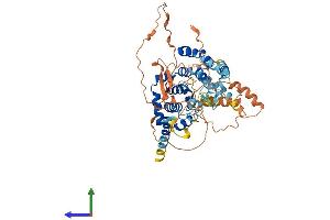 AlphaFold protein structure predicition of Human Recombinant TBC1D3G Protein, UniprotID Q6DHY5