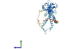AlphaFold protein structure predicition of Human Recombinant SH2D4B Protein, UniprotID Q5SQS7