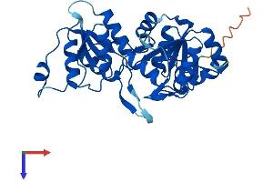 PGP Protein (AA 1-321) (His tag)