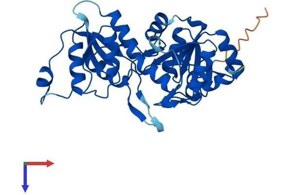 PGP Protein (AA 1-321) (His tag)