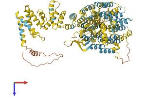 PSMD2 Protein (AA 1-908) (His tag)
