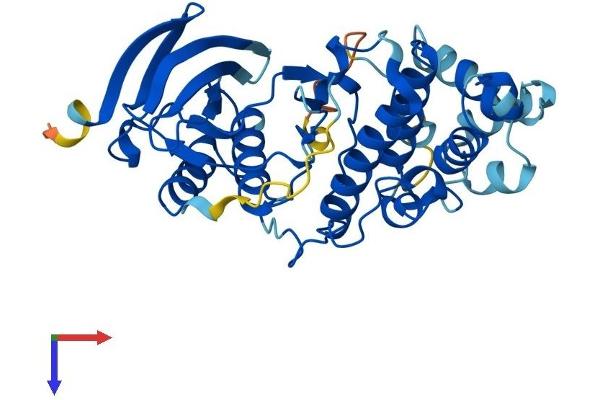 MAPK13 Protein (AA 1-365) (His tag)
