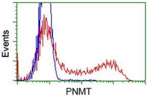 Flow Cytometry (FACS) image for anti-Phenylethanolamine N-Methyltransferase (PNMT) antibody (ABIN1500310) (PNMT Antikörper)