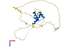 HOXC4 Protein (AA 1-264) (His tag)