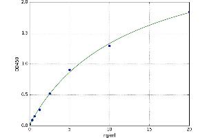 Phorbol-12-Myristate-13-Acetate-Induced Protein 1 (PMAIP1) ELISA Kit