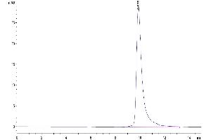 Size-exclusion chromatography-High Pressure Liquid Chromatography (SEC-HPLC) image for beta-2-Microglobulin (B2M) (AA 21-119) protein (His tag) (ABIN7273887)