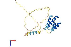 CT45A5 Protein (AA 1-189) (His tag)