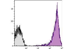 Human peripheral blood lymphocytes were stained with Mouse Anti-Human CD44-PE/CY7. (CD44 Antikörper  (PE-Cy7))