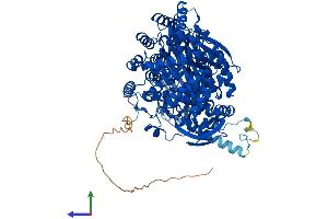 Protein Structure (PS) image for Endoplasmic Reticulum Aminopeptidase 2 (ERAP2) (AA 1-960) protein (His tag) (ABIN7553856)