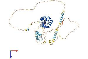 ARFGAP3 Protein (AA 1-523) (His tag)