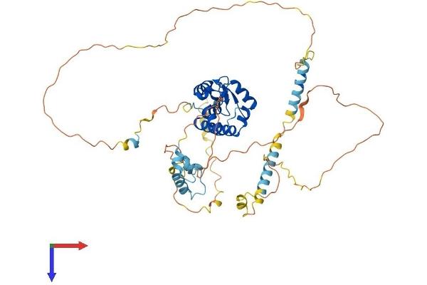 ARFGAP3 Protein (AA 1-523) (His tag)