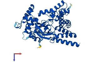 SMYD3 Protein (AA 1-428) (His tag)