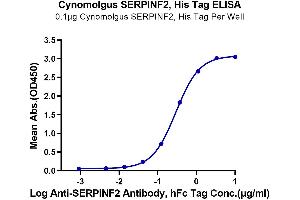 Immobilized Cynomolgus SERPINF2, His Tag at 1 μg/mL (100 μL/Well) on the plate. (alpha 2 Antiplasmin Protein (AA 27-490) (His tag))