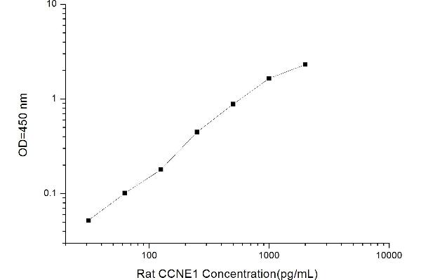 Cyclin E1 ELISA Kit