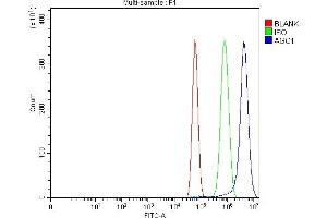 Flow Cytometry analysis of U87 cells using anti-AGO1 antibody (ABIN7602627). (AGO1 Antikörper  (AA 9-405))