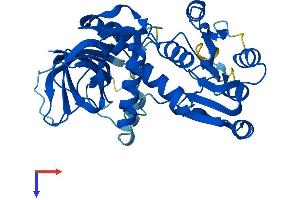 CRYZL1 Protein (AA 1-349) (His tag)