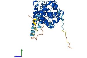 AlphaFold protein structure predicition of Human Recombinant CCND2 Protein, UniprotID P30279