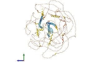 Protein Structure (PS) image for Atrophin 1 (ATN1) (AA 1-1190) protein (His tag) (ABIN7552444)