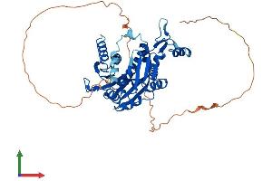 Protein Structure (PS) image for RNA Guanine-7 Methyltransferase (RNMT) (AA 1-465) protein (His tag) (ABIN7560840)