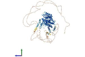 Protein Structure (PS) image for CWC22 Spliceosome-Associated Protein Homolog (CWC22) (AA 1-908) protein (His tag) (ABIN7564518)