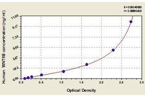 Typical standard curve (WNT5B ELISA Kit)