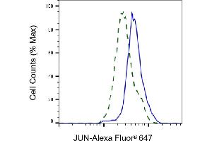 Validation of JUN knockdown using flow cytometry. (C-JUN Antikörper)
